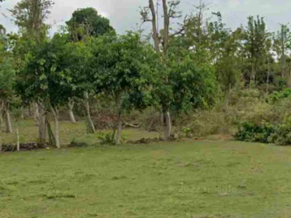 dijual tanah plot Kecil kawasan dreamland pecatu IDR 800 juta per are