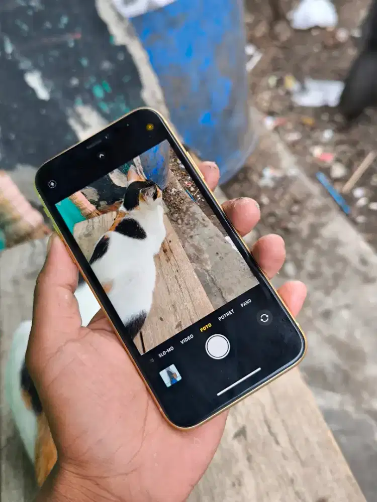 Iphone xr mulus siap pakai