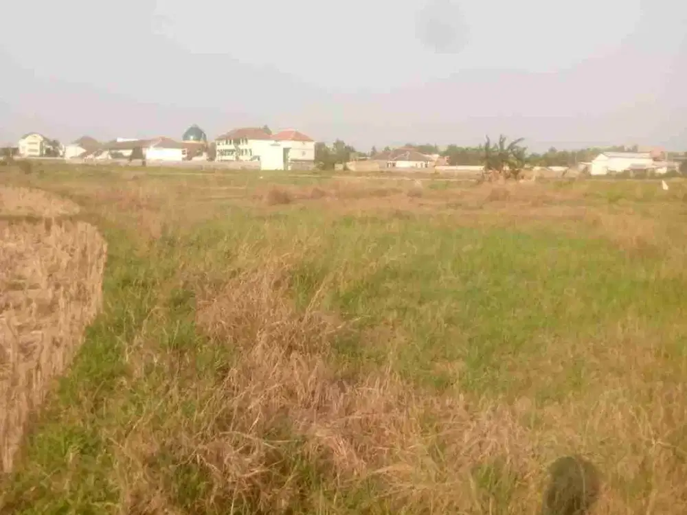 Dijual Tanah Siap Bangun Murah Hanya 100 ribuan per meter di Burneh Bangkalan Madura