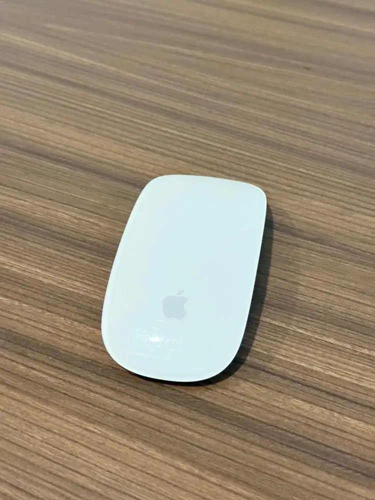 Apple Magic Mouse gen 2 mulus no minus