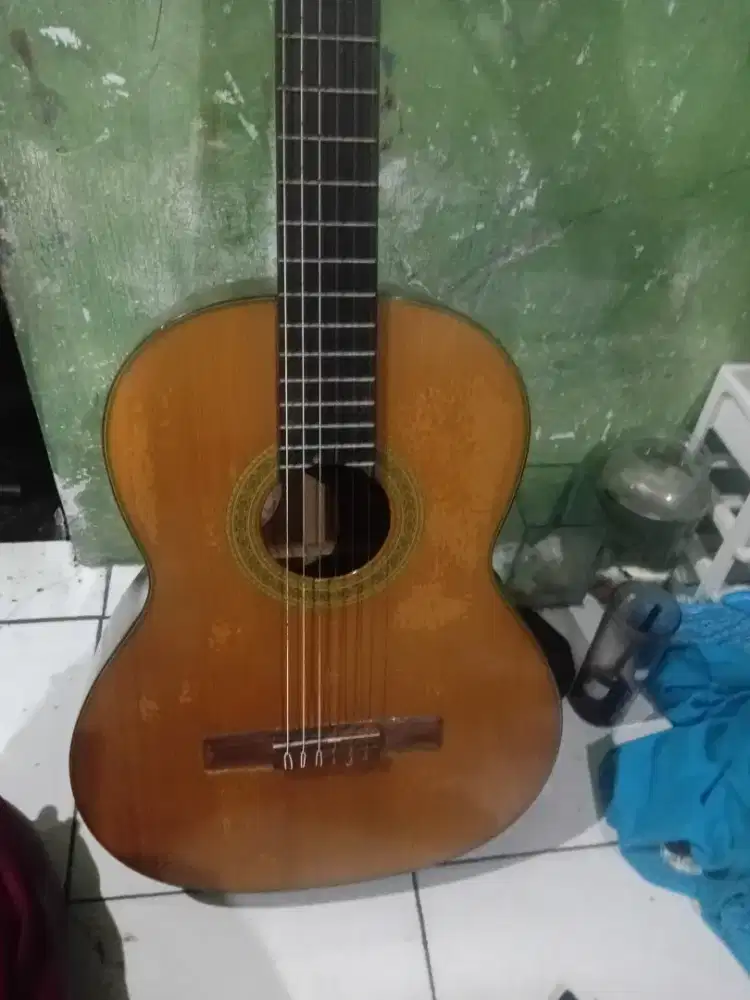 Gitar plus sarung