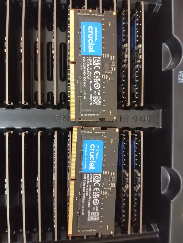 Ready Ram Crucial Sodim PC5600/8GB/DDR5