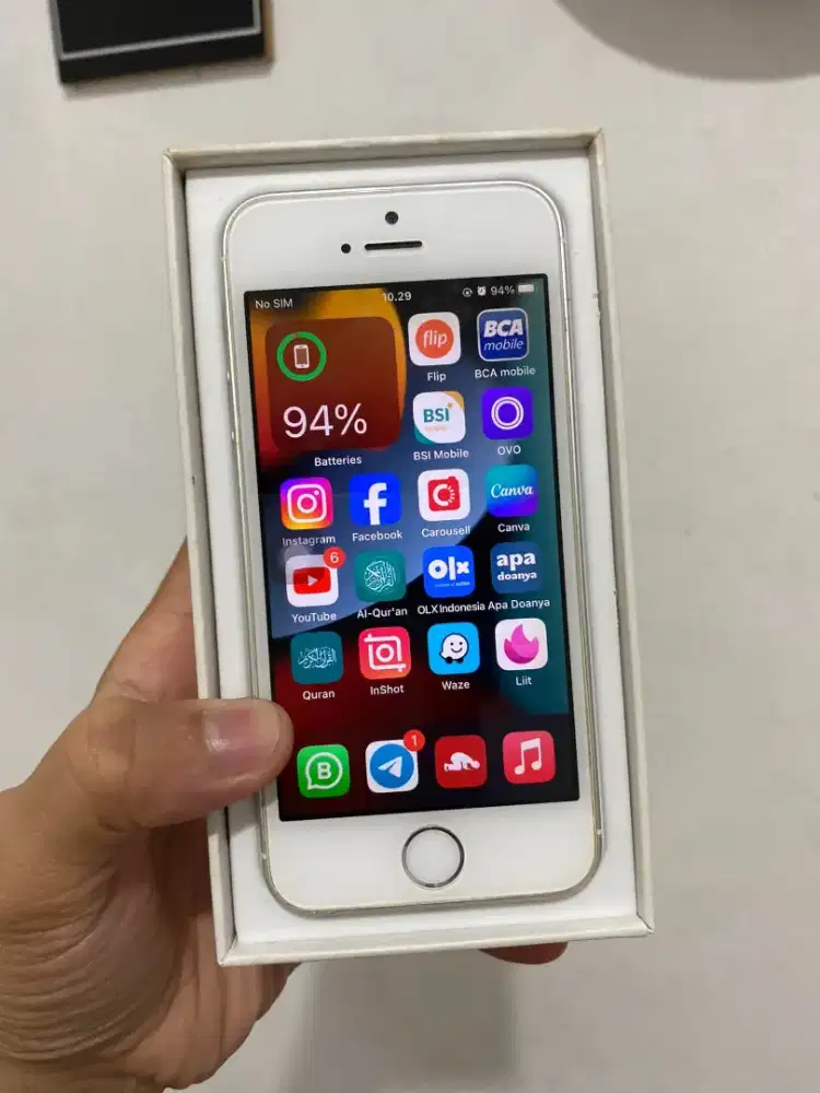 iPhone SE 64GB 1st Gen Silver Mulus
