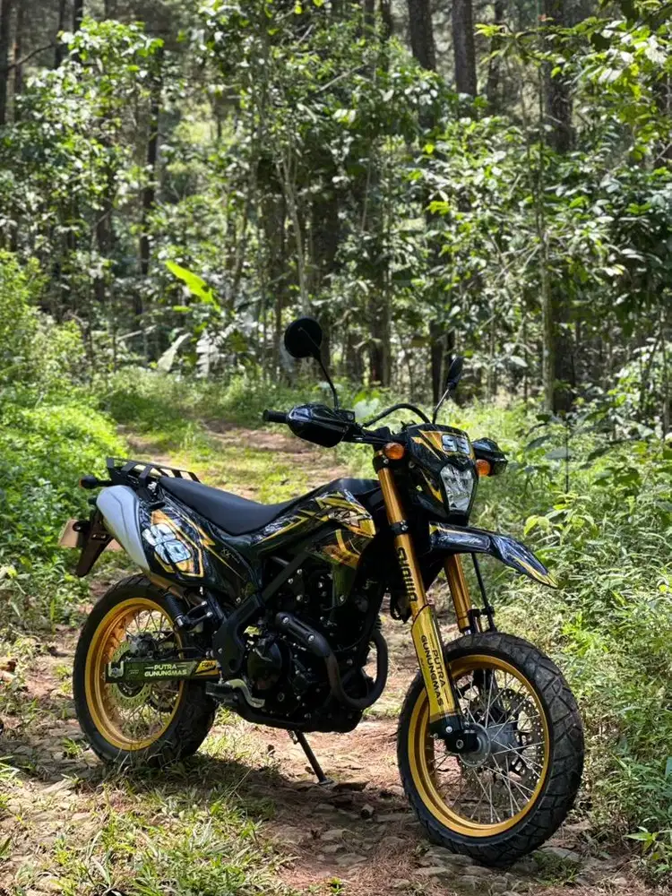 Kawasaki KLX 230 SE supermotor istimewa