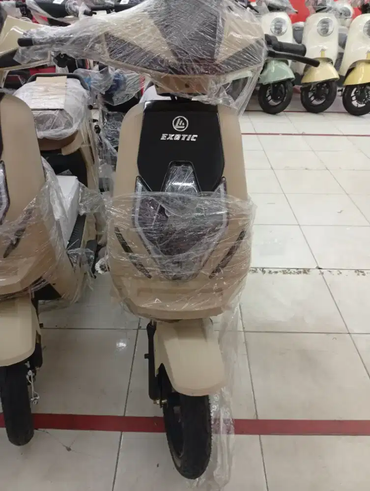 Sepeda listrik EXOTIC X-665