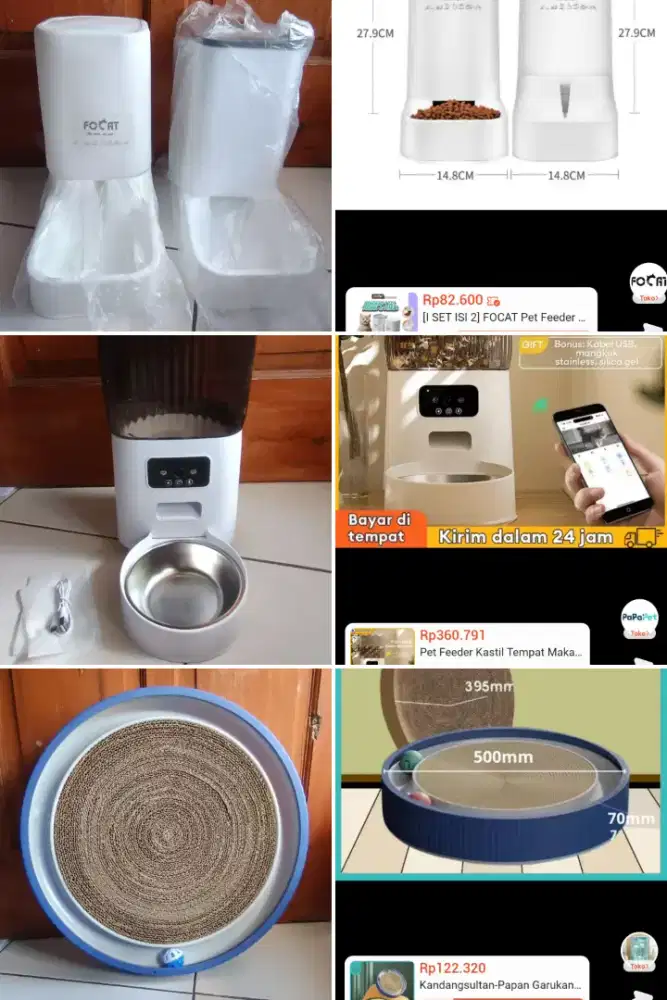 Perlengkapan kucing lengkap murah