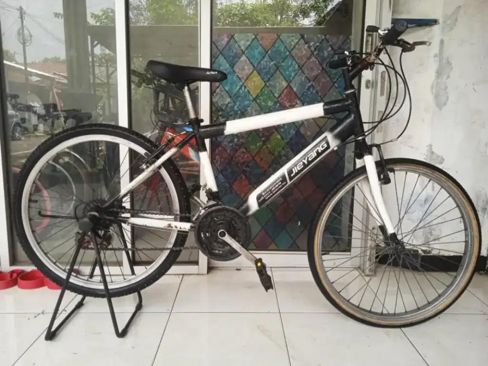 Sepeda gunung MTB uk24