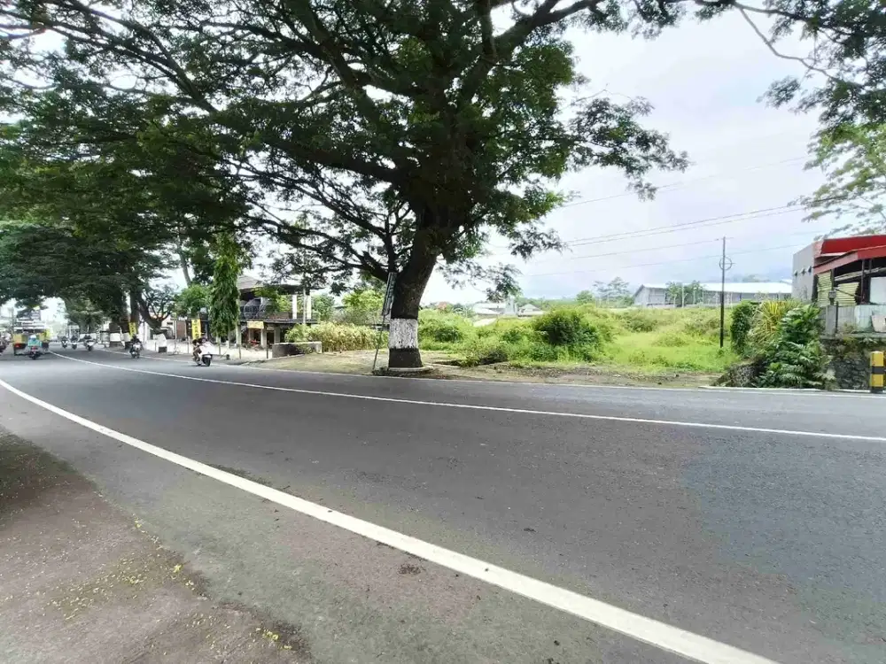 tanah batu poros jalan utama dekat Jatim park