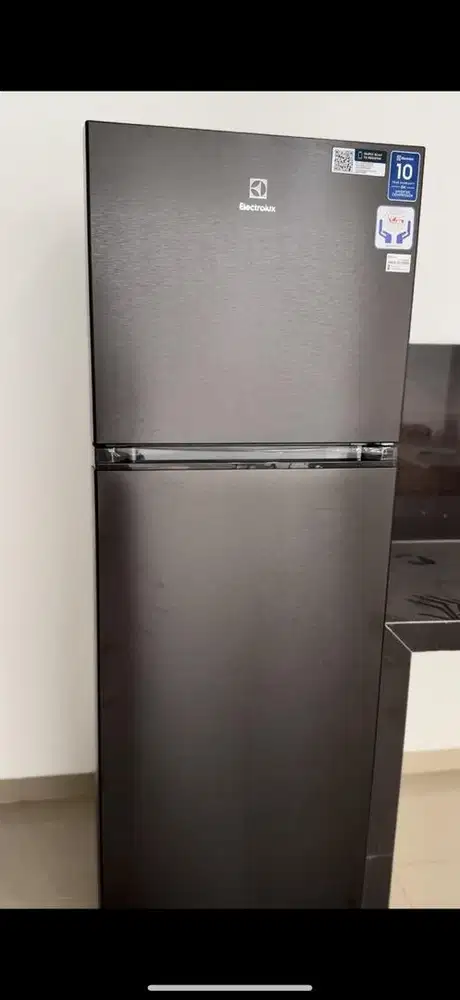 Kulkas Elektrolux ETM3400LB 2 Pintu gajadi pake kaya baru