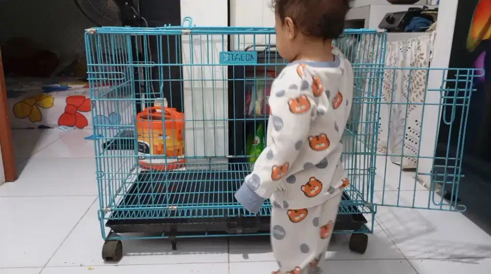 Jual kandang kucing/anjing merk octagon