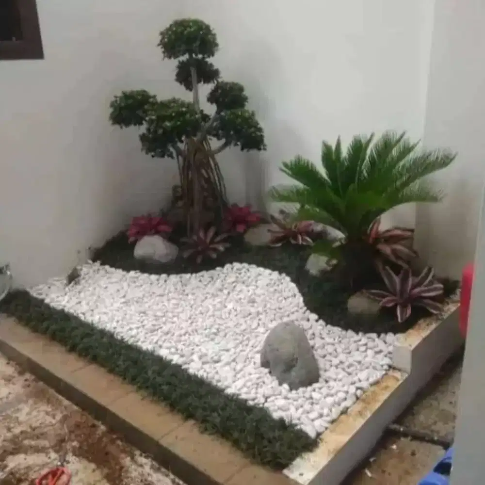 Tukang taman dan kolam koi.