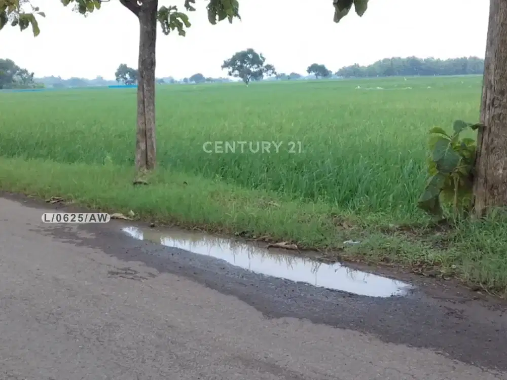 Tanah Luas Dan Strategis Di Ligung Majalengka