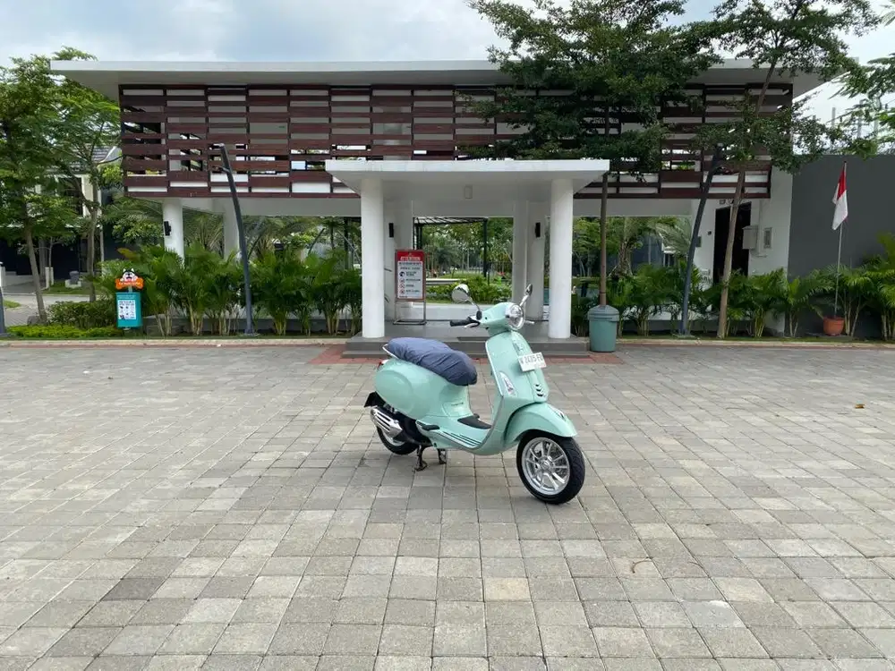 Primavera 2023 NIK green favorite