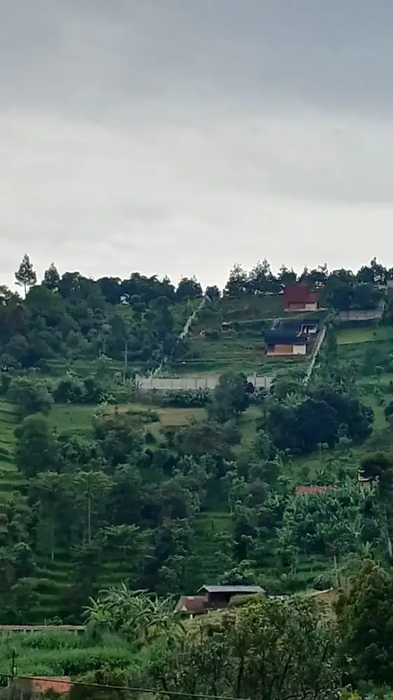 Dicari ART Muslimah untuk Kerja di Cimanggis