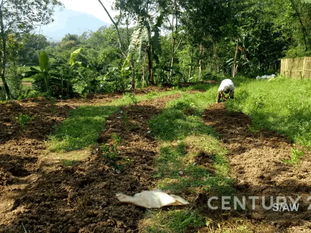 TANAH LUAS DAN STRATEGIS COCOK UNTUK BISNIS DI SUKABUMI