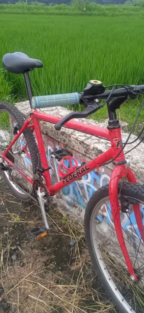 SEPEDA COMMUTER FEDERAL