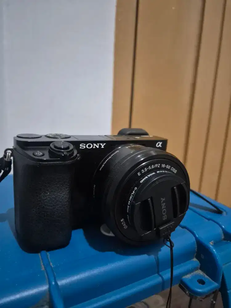 Sony alpha 6000