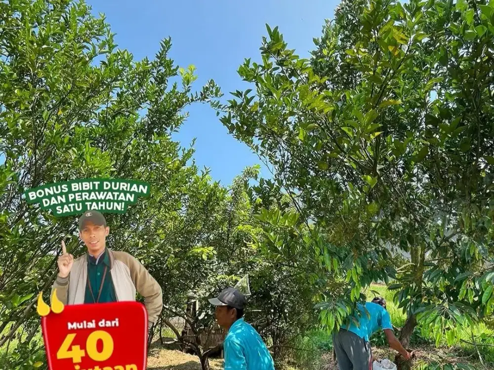 Beli Tanah Bonus Bibit Durian di Kawasan Agroeduwisata di Bogor