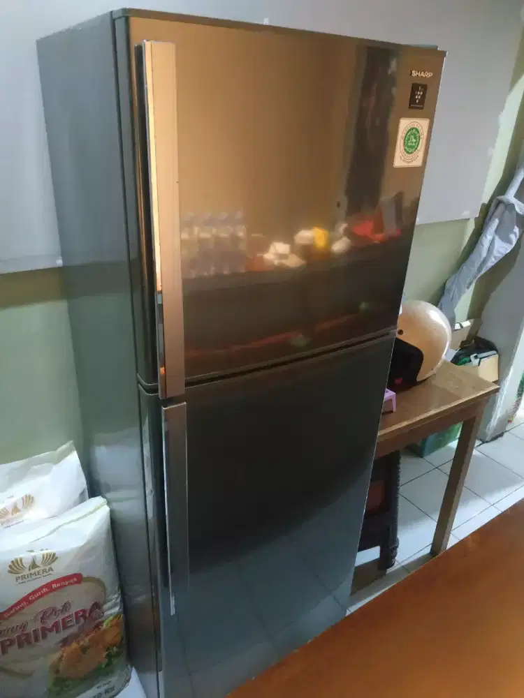 Kulkas sharp 2 pintu