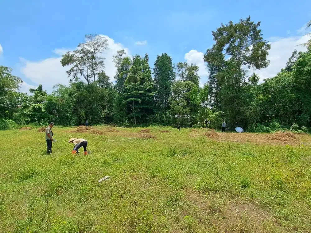 Tanah Kalasan Area Selomartani Dekat Dawet Pak Bardi