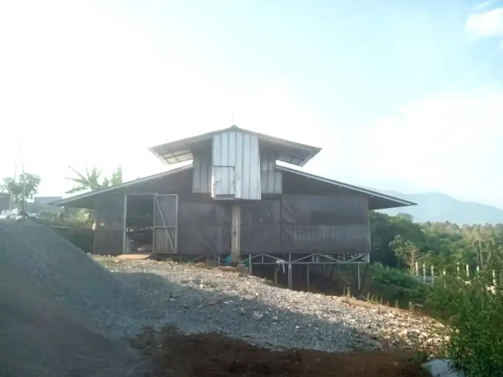 Jandang Ayam Dijual di Rancakalong Sumedang