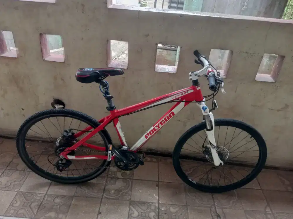 Jual Cepat Polygon Xtrada 5