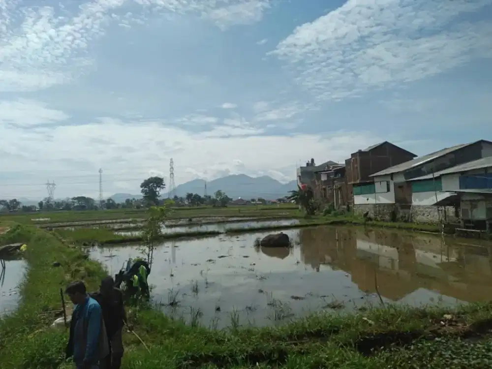 Tanah sawah 6. Produktif dan murah