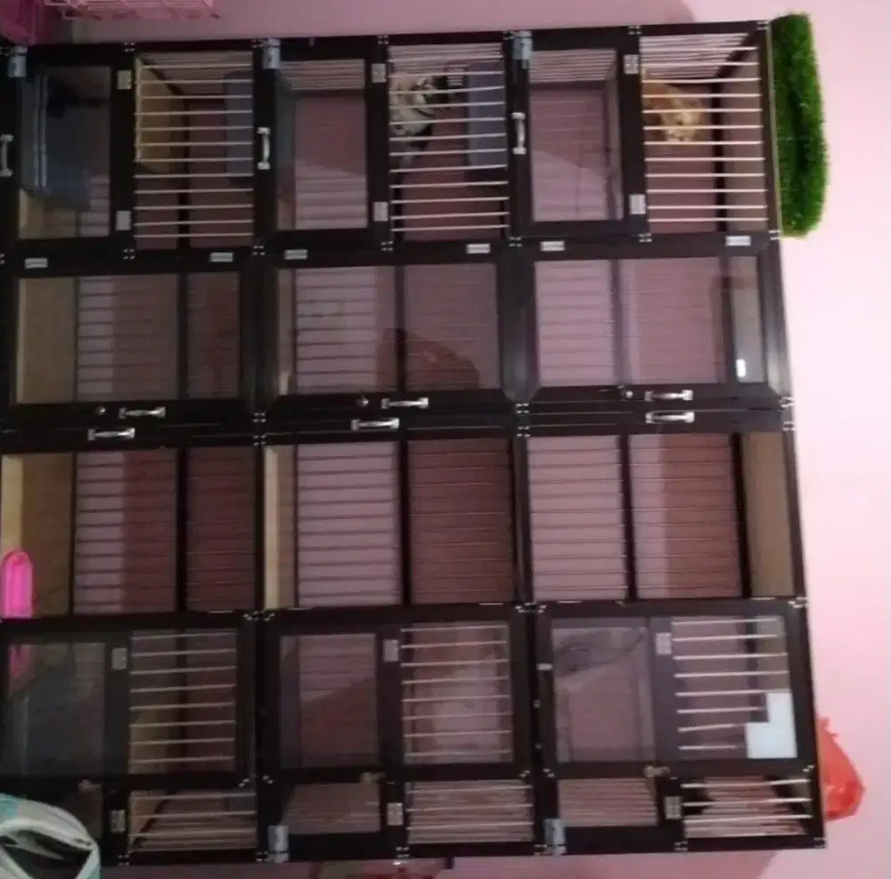 Kandang kucing second