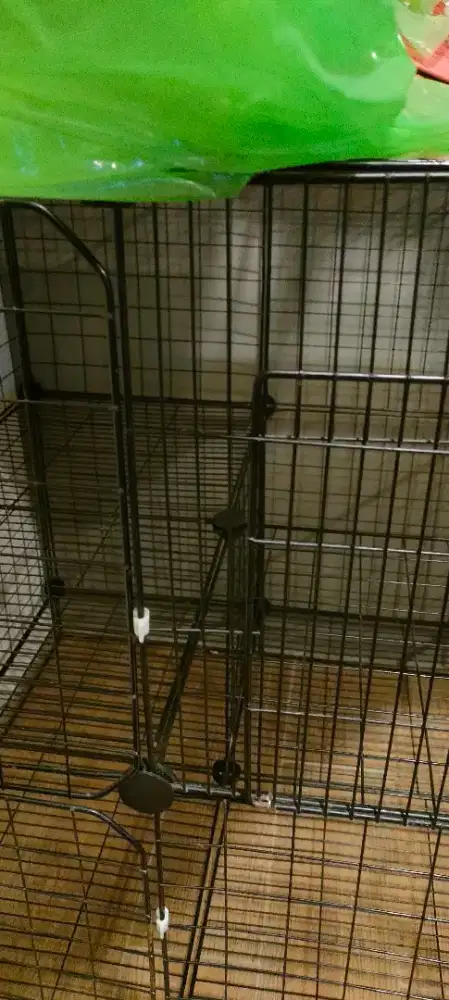 Kandang kucing besar