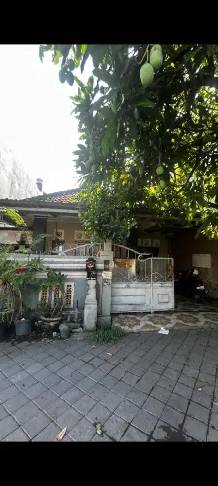 Dijual rumah murah di pedumgan luas tanah 1,5 are
