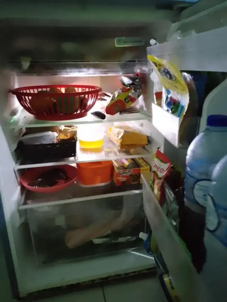 KULKAS SHARP 2 PINTU