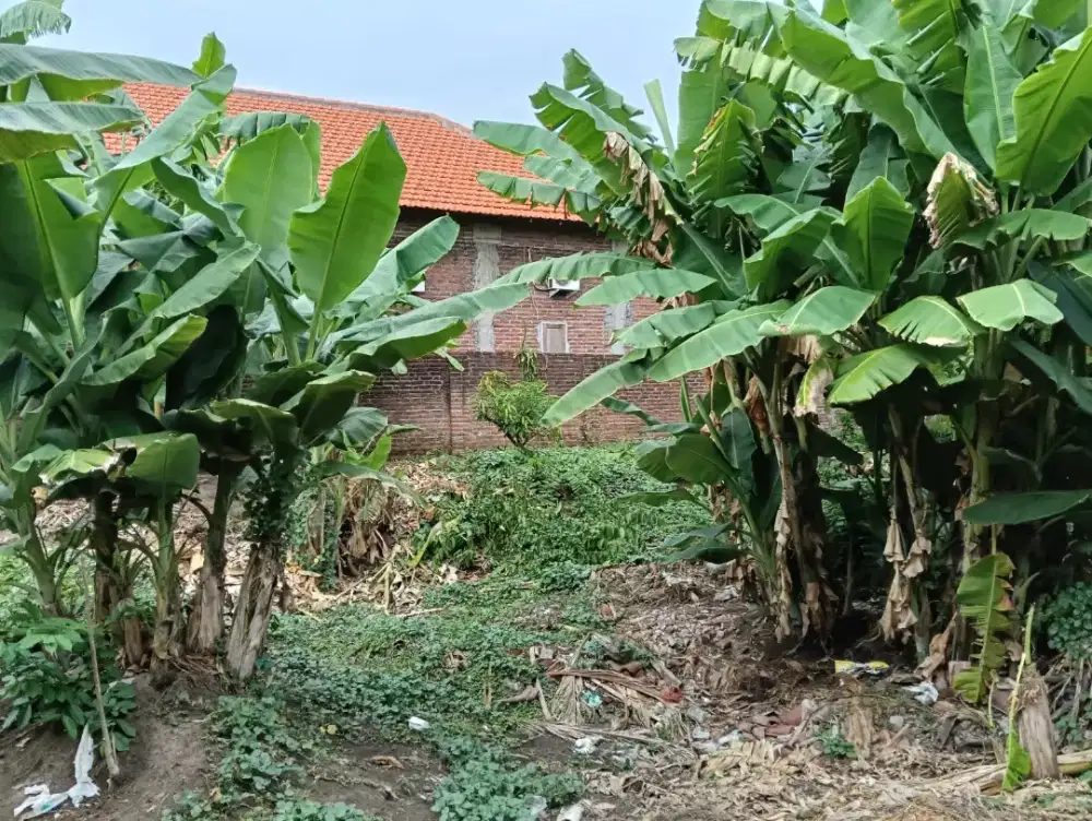 Tanah siap bangun entalsewu buduran sidoarjo