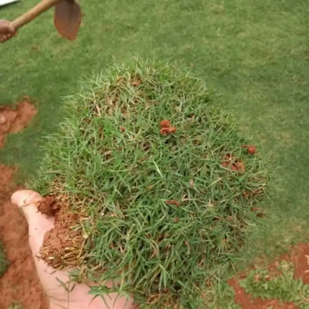 JUAL RUMPUT GOLF DAN TERIMA JASA PEMASANGAN KAK