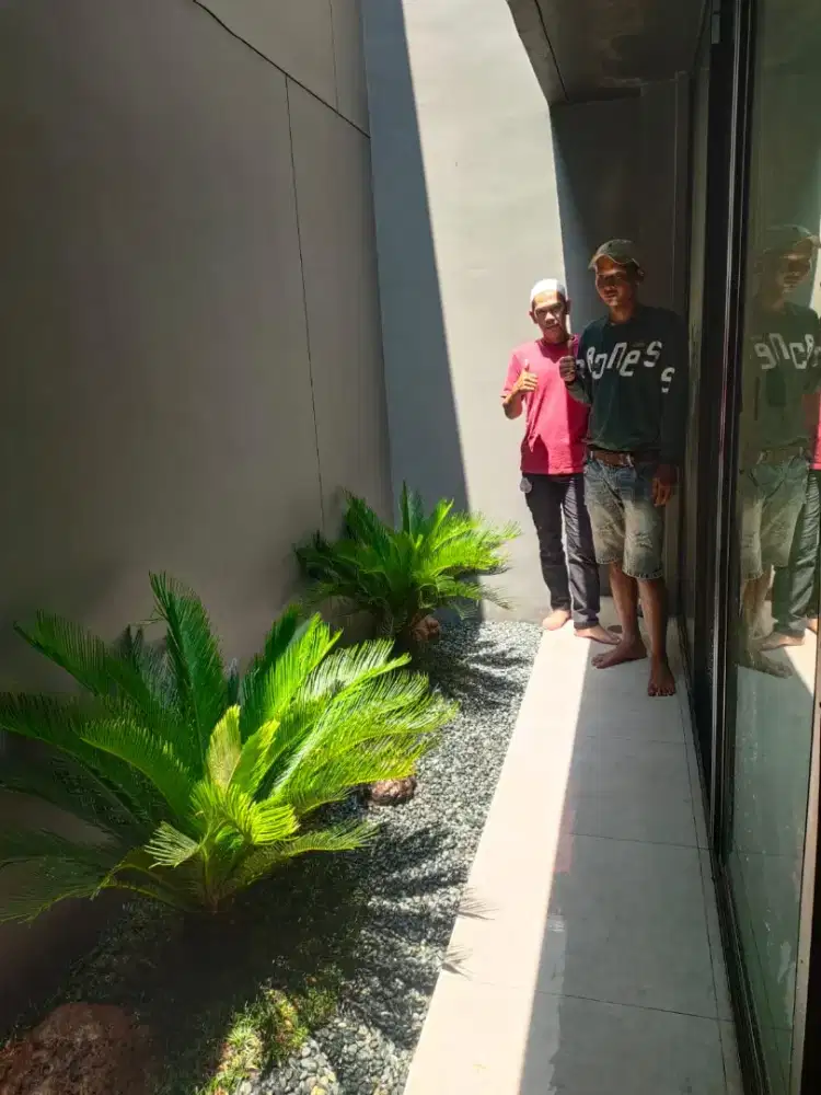 JASA PEMBUATAN TAMAN KERING DI AREA DALAM RUANGAN