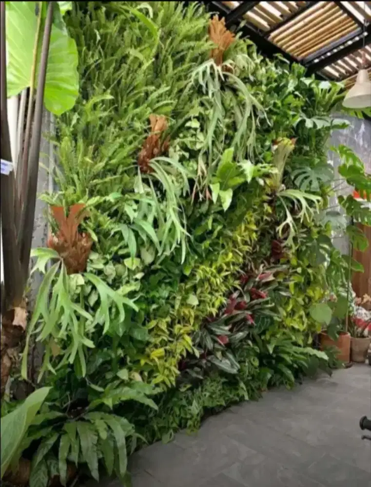 JASA PEMBUATAN TAMAN VERTICAL GARDEN TANAMAN natural Hidup