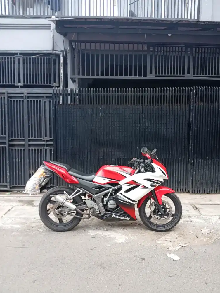 Ninja RR 2012 new