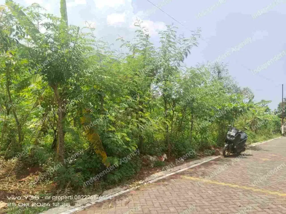 tanah tembalang dekat kampus undip, bulusan selatan