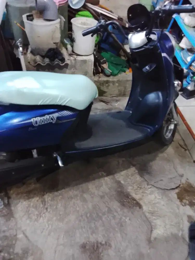 Molis Murah Hanya 45