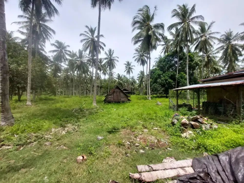Dijual Tanah 9HA di Ratatotok Sulawesi Utara Dekat Tambang Emas