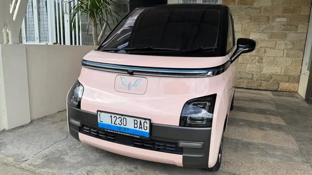 Wuling long range 300 2022