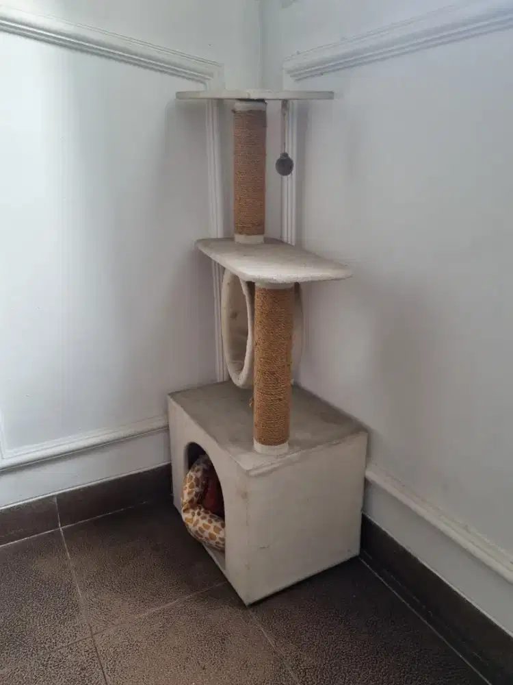 Cats Tree / Cats House