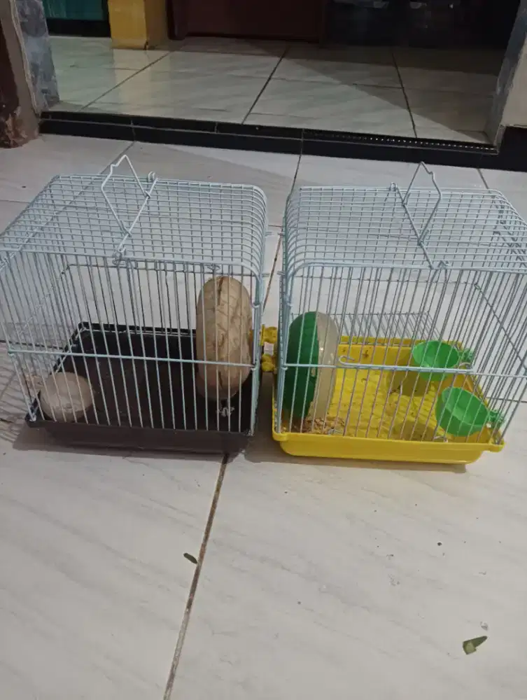 2 Kandang hamster