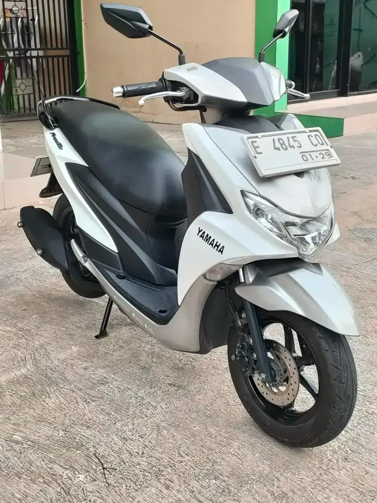 Freego 2019 Pajak Hidup Gresss