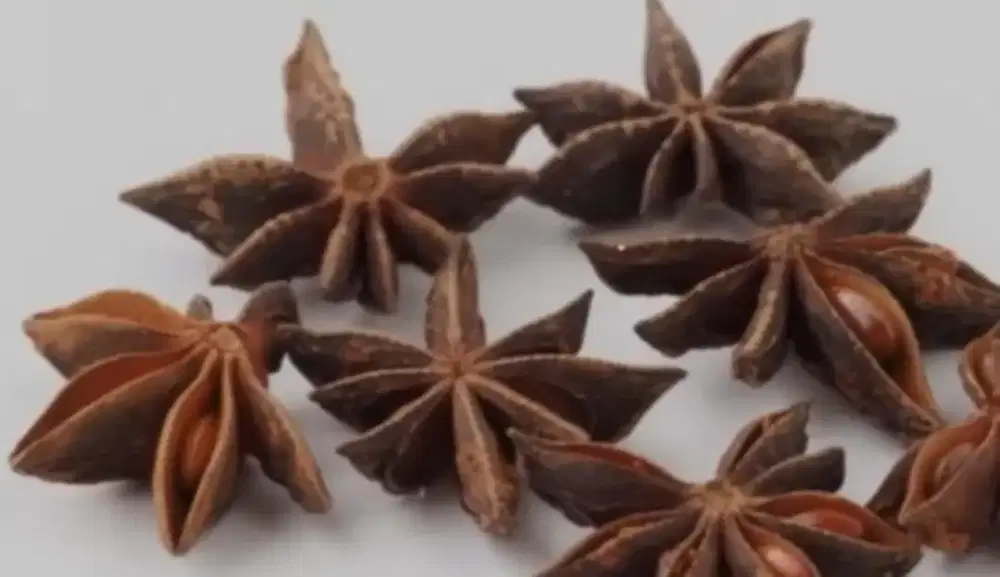 Mencari Pekerjaan Art