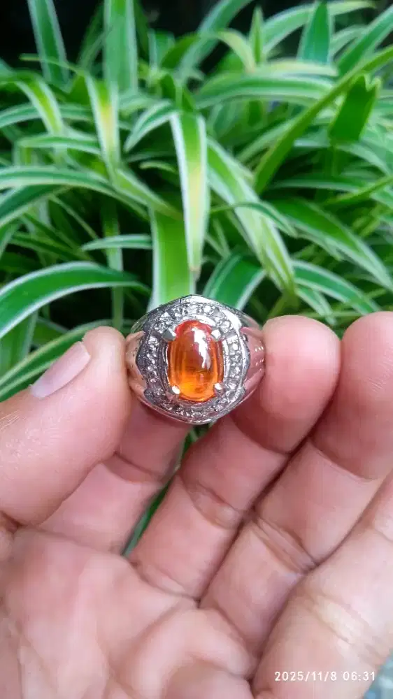 ORANGE SAFIR KRISTAL CATS EYE