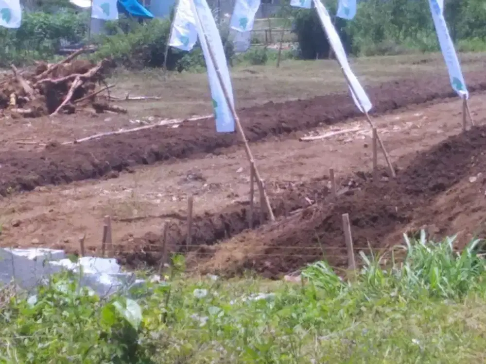 Kos-Kosan Kota Malang Lokasi Strategis Dekat Banyak Kampus