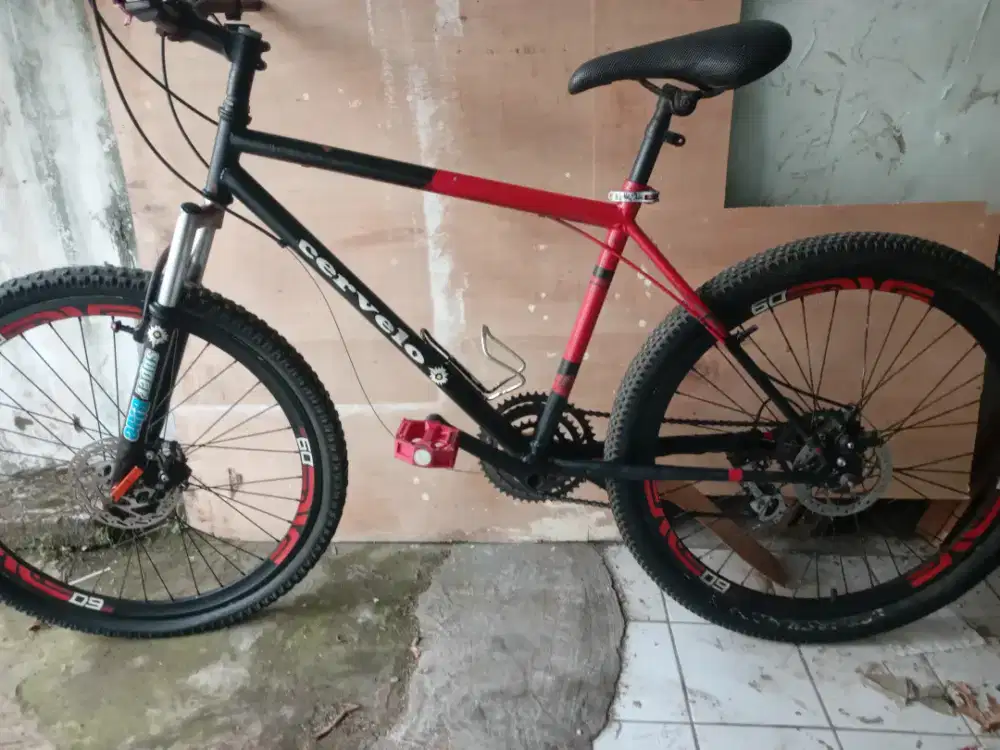 Sepeda mek corfelo dewasa