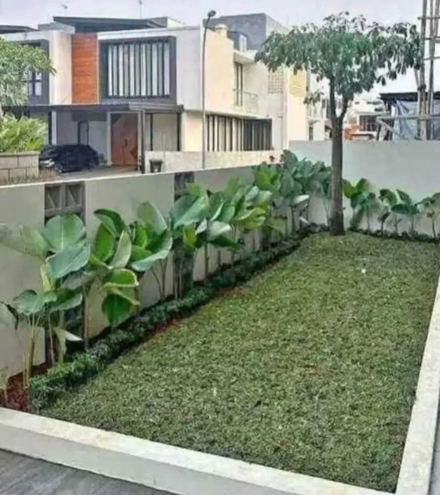 Paket taman murah bergaransi # taman minimalis