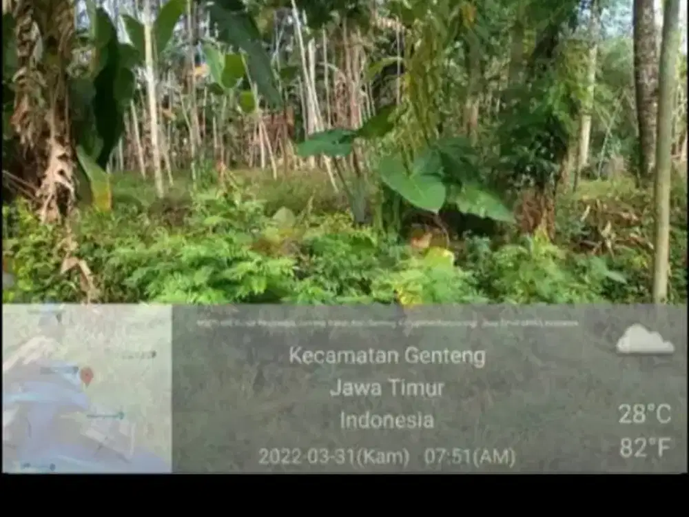 Dijual Tanah dibawah harga pasar Strategis di Dusun Resomulyo – Genteng Wetan – Banyuwangi