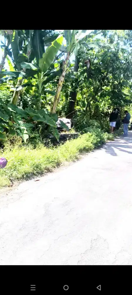 Dijual tanah 1,1 hektar di jln jayagiri dekat renon denpasar bali